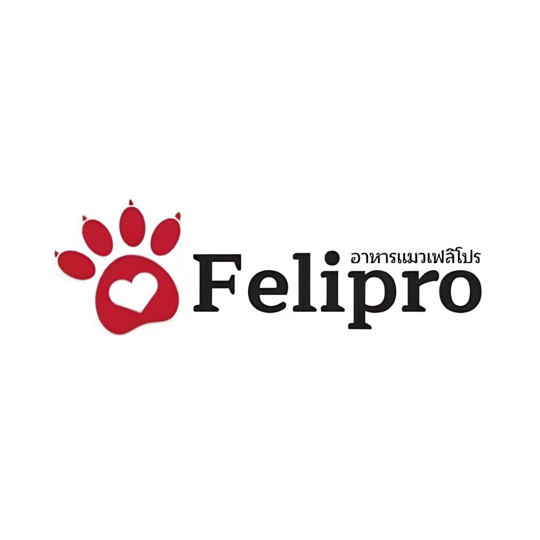 Logo Felipro