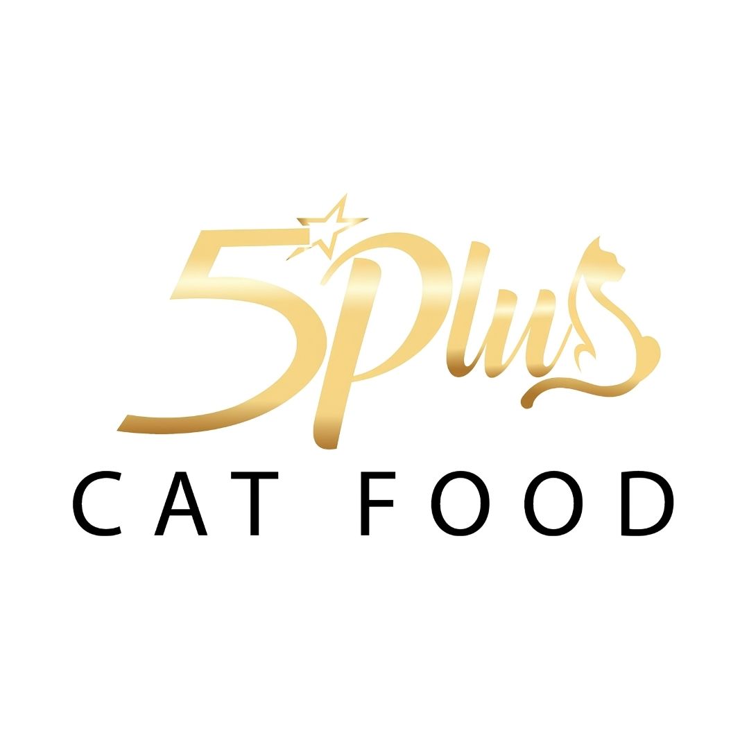 Logo 5Plus